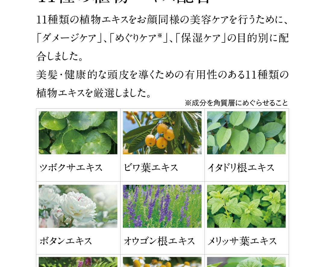 11種類の植物エキス